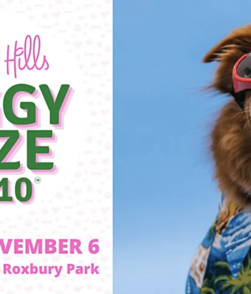 Beverly Hills Doggy Daze 90210 | LA Animal Services